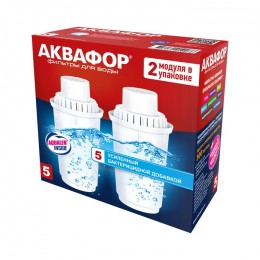 Сменный модуль В5 (В100-5) защита от бактерий (комплект из 2-х штук) в Южно-Сахалинске